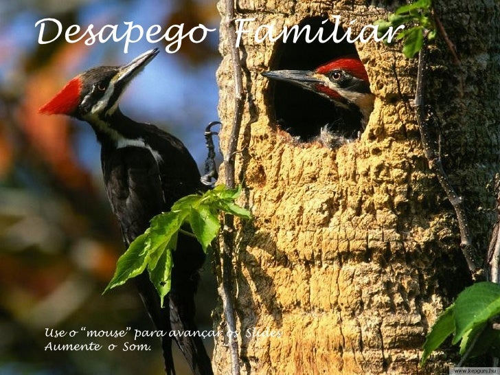 Desapego FamiliarVANTAGENS DOESQUECIMENTO Use o “mouse” para avançar os Slides Aumente o Som.                     Rolagem ...