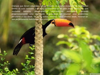 Crianças que foram educadas com as atitudes de adultos incapazes de estabelecer
limites às suas vontades e desejos, contentando-as de uma forma ilimitada e sem
nenhuma barreira, desenvolveram dependências patológicas, gerando
progressivamente uma acentuada incapacidade de resolver seus problemas,
peculiares a sua idade, os quais, outros menores, nessa mesma idade, mostrar-se-
iam perfeitamente habilitados para encará-los e selecioná-los.
 