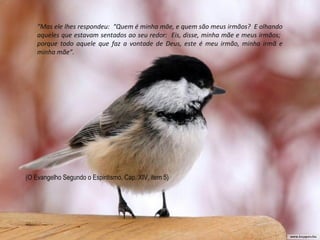 “ Se Deus Julgou conveniente lançar um véu sobre o
passado, é porque isso devia ser útil...”
“...Deus nos deu, para nosso adiantamento,
justamente o que nos é necessário e pode
nos bastar: a voz da consciência e nossas
tendências instintivas, e nos tira o que
poderia nos prejudicar.”
(O Evangelho Segundo o Espiritismo, Cap. V, item 11)
VANTAGENS DO
ESQUECIMENTO
Em certas criaturas é visível a rejeição que fazem para aceitar as coisas
novas que vão surgindo em nossa trajetória vivencial.A Natureza em nós é força de progresso, e os homens evoluem
sempre, não porém ao mesmo tempo e da mesma forma, mas
naturalmente ao seu próprio ritmo.
“Mas ele lhes respondeu: “Quem é minha mãe, e quem são meus irmãos? E olhando
aqueles que estavam sentados ao seu redor: Eis, disse, minha mãe e meus irmãos;
porque todo aquele que faz a vontade de Deus, este é meu irmão, minha irmã e
minha mãe”.
(O Evangelho Segundo o Espiritismo, Cap. XIV, item 5)
 