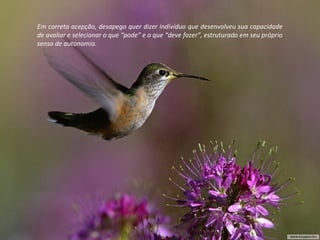 “ Se Deus Julgou conveniente lançar um véu sobre o
passado, é porque isso devia ser útil...”
“...Deus nos deu, para nosso adiantamento,
justamente o que nos é necessário e pode
nos bastar: a voz da consciência e nossas
tendências instintivas, e nos tira o que
poderia nos prejudicar.”
(O Evangelho Segundo o Espiritismo, Cap. V, item 11)
Em correta acepção, desapego quer dizer indivíduo que desenvolveu sua capacidade
de avaliar e selecionar o que “pode” e o que “deve fazer”, estruturado em seu próprio
senso de autonomia.
 