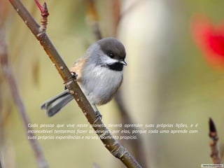 Cada pessoa que vive neste planeta deverá aprender suas próprias lições, e é
inconcebível tentarmos fazer os deveres por elas, porque cada uma aprende com
suas próprias experiências e no seu momento propício.
 