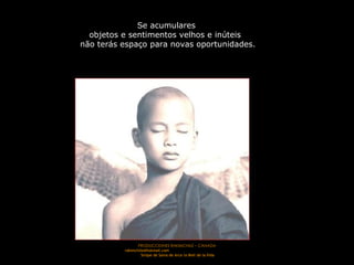 PRODUCCIONES RAKIMCHILE – CANADA rakimchile@hotmail.com  Sirope de Savia de Arce la Miel de la Vida Se acumulares  objetos e sentimentos velhos e inúteis  não terás espaço para novas oportunidades. 