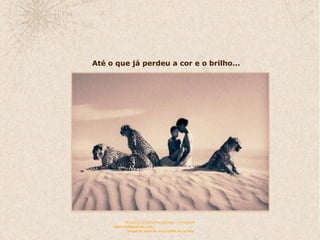 PRODUCCIONES RAKIMCHILE – CANADA rakimchile@hotmail.com  Sirope de Savia de Arce la Miel de la Vida Até o que já perdeu a cor e o brilho... 