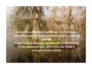 Emocionalmente, também você passa a
acreditar que o novo compensará o objeto
doado.
Uma faxina básica, apesar da trabalheira
e do cansaço que provoca, ao final é
sempre bem-vinda.
 