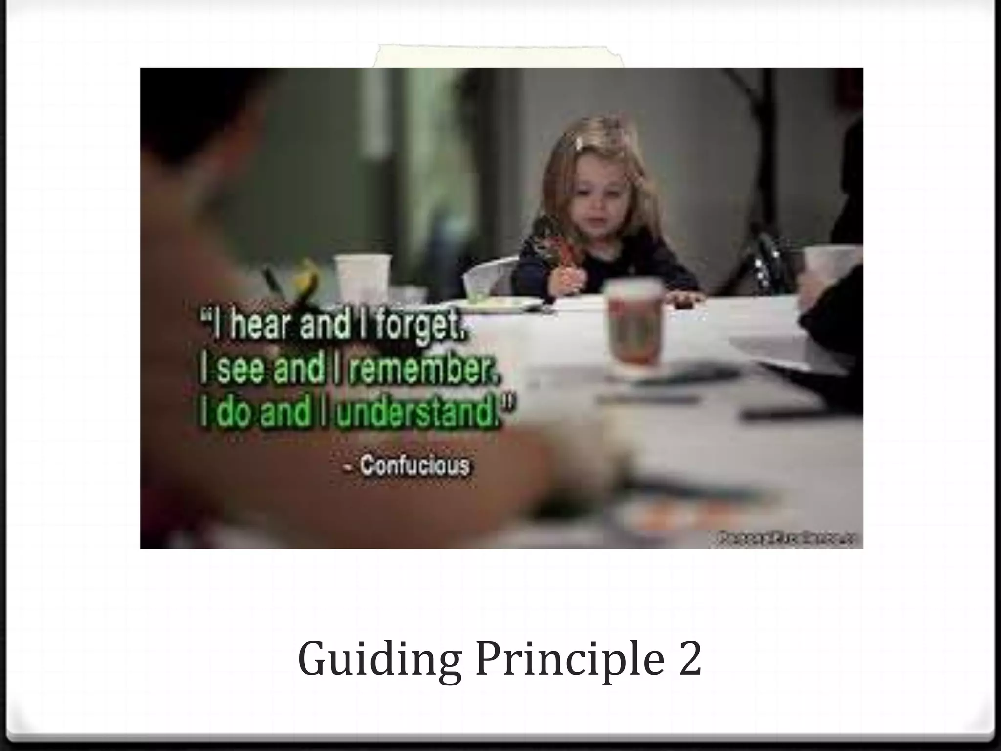 Guiding Principle 2