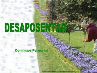 DESAPOSENTAR Domingos Pellegrini   