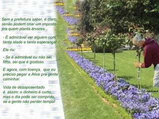 Sem a prefeitura saber, é claro, senão podem criar um imposto pra quem planta árvores... - É admirável ver alguém com tanta idade e tanta esperança! Ele riu: - Se é admirável eu não sei, filho, sei que é gostoso.  E agora, com licença,  que eu preciso pegar a Alice pra gente caminhar.  Vida de desaposentado é  assim: o dinheiro é curto, mas o dia pode ser comprido, se a gente não perder tempo! 