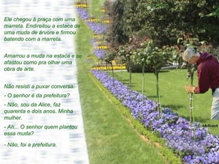 Ele chegou à praça com uma marreta. Endireitou a estaca de uma muda de árvore e firmou batendo com a marreta. Amarrou a muda na estaca e se afastou como pra olhar uma obra de arte. Não resisti a puxar conversa: - O senhor é da prefeitura? - Não, sou da Alice, faz quarenta e dois anos. Minha mulher. - Ah... O senhor quem plantou essa muda? - Não, foi a prefeitura.  