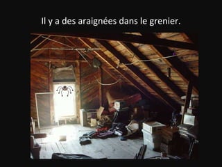 Il y a des araignées dans le grenier. 