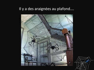 Il y a des araignées au plafond….  