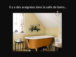 Il y a des araignées dans la salle de bains… 