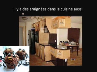 Il y a des araignées dans la cuisine aussi. 