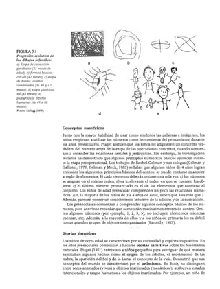 DESARROLLO COGNOSCITIVO: LAS TEORÍAS DE PIAGET Y DE VIGOTSKY
FIGURA 3.1
Progresión evolutiva de
los dibujos infantiles:
a) Etapa de colocación:
garabatea (32 meses de
edad); b) formas básicas:
círculo (42 meses); c) etapa
de diseño: diseños
combinados (de 40 y 47
meses); d) etapa pictórica:
sol (45 meses); e)
pictográfica: figuras
humanas (de 48 a 60
meses).
Fuente: Kellogg (1970).
Conceptos numéricos
Junto con la mayor habilidad de usar como símbolos las palabras e imágenes, los
niños empiezan a utilizar los números como herramienta del pensamiento durante
los años preescolares. Piaget sostuvo que los niños no adquieren un concepto ver
dadero del número antes de la etapa de las operaciones concretas, cuando comien
zan a entender las relaciones seriales y jerárquicas. Sin embargo, la investigación
reciente ha demostrado que algunos principios numéricos básicos aparecen duran
te la etapa preoperacional. Los trabajos de Rochel Gelman y sus colegas (Gelman y
Gallistel, 1978; Gelman y Meck, 1983) señalan que algunos niños de 4 años logran
entender los siguientes principios básicos del conteo: a) puede contarse cualquier
arreglo de elementos; b) cada elemento deberá contarse una sola vez; c) los números
se asignan en el mismo orden; d) es irrelevante el orden en que se cuenten los ob
jetos; e) el último número pronunciado es el de los elementos que contiene el
conjunto. Los niños de edad preescolar comprenden un poco las relaciones numé
ricas. Así, la mayoría de los niños de 3 a 4 años de edad, saben que 3 es más que 2.
Además, parecen poseer un conocimiento intuitivo de la adición y de la sustracción.
Los preescolares comienzan a comprender algunos conceptos básicos de los nú
meros, pero conviene recordar que cometerán muchísimos errores de conteo. Omi
ten algunos números (por ejemplo, 1, 2, 3, 5), no incluyen elementos mientras
cuentan, etc. Además, a la mayoría de ellos y a los niños de primaria les es difícil
contar grandes grupos de objetos desorganizados (Baroody, 1987).
Ttorías intuitivas
Los niños de corta edad se caracterizan por su curiosidad y espíritu inquisitivo. En
los años preescolares comienzan a hacerse teorías intuitivas sobre los fenómenos
naturales. Piaget (1951) entrevistó a niños pequeños para averiguar de qué manera
explicaban algunos hechos como el origen de los árboles, el movimiento de las
nubes, la aparición del Sol y de la Luna, el concepto de la vida. Descubrió que sus
conceptos del mundo se caracterizan por el animismo. Es decir, no distinguen
entre seres animados (vivos) y objetos inanimados (mecánicos); atribuyen estados
intencionales y rasgos humanos a los objetos inanimados. Por ejemplo, un niño de
 