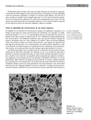 DESARROLLO DEL ALFABETISMO
Puede pasar algún tiempo antes que los niños dominen la orientación espacial.
A menudo escriben imágenes especulares de letras y de palabras con tanta facilidad
como la orientación apropiada. La figura 5.4 muestra cómo Marín, una niña de 4
años, escribe su nombre como imagen especular. A veces tales inversiones persis
ten en la escritura de los niños de 6 y 7 años, pero desaparecen poco a poco. En una
cultura con predominio de los materiales impresos, a los 5 años de edad la mayoría
de los niños reconocen las letras del alfabeto y saben su nombre.
Cómo se aprenden las convenciones de los textos impresos
El lenguaje es un sistema de comunicación, porque los hablantes coinciden en la
forma en que funciona. Estas convenciones son arbitrarias. Por ejemplo, la combi
nación de sonidos /c/ /a/ /s/ /a/ para designar casa no es universal, sino que en el
pasado servía para indicar el lugar donde se vive. También las reglas gramaticales
son convenciones. Los hablantes decidieron que una oración normal constara de
sujeto y predicado como en "Juan trabaja en la tienda". Tanto las formas habladas
como las escritas se basan en ciertas convenciones, una especie de protocolo de
este tipo de comunicación. En la conversación, los interlocutores aprenden a indi
car el final de una intervención y el comienzo de otra. Asimismo, en la comunica
ción escrita, los escritores deben escribir siempre igual para facilitar la lectura.
Los adultos que saben leer y escribir quizá no se percaten de las muchas conven
ciones que el niño debe aprender. Por ejemplo, se lee y se escribe de izquierda a
derecha. Al final de una línea del texto, los ojos vuelven al lado izquierdo y comien
zan a explorar en la derecha. Las palabras están separadas por espacios en blanco.
Los márgenes y las sangrías marcan los párrafos y delimitan la historia. Un lector
principiante debe observar la categoría estructural de la oración, unidad marcada
por la puntuación y las mayúsculas. Al escribir, las oraciones están bien formadas y
completas desde el punto de vista gramatical. Son muy distintas a las estructuras
más comunes del lenguaje hablado en el que la cláusula o la frase son las estructu
ras más comunes. Además de nuevas estructuras, hay que aprender más términos y
El sistema del lenguaje
hablado y el del lenguaje
escrito se ba$an en muchas
convenciones arbitrarias que
el niño ha de aprender antes
de dominar la lectoescritura.
FIGURA 5.4
Marín, niña de cuatro
años de edad, escribe su
nombre en una imagen
especular.
 