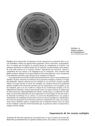 PERSPECTIVAS SOBRE EL DESARROLLO DEL NIÑO
FIGURA 1.8
Modelo ecológico
de Bronfenbrenner
Fuente: Bronfenbrenner (1979).
biológico de su desarrollo. El siguiente círculo representa su ambiente físico y so
cial inmediato. Abarca los objetos físicos (juguetes, libros, televisión, computadora,
etc.), lo mismo que la familia, la escuela, grupo de compañeros y el barrio. Los
entornos anteriores se hallan dentro de un contexto socioeconómico más amplio.
El ciclo más externo es el contexto cultural. Representa las creencias, valores y
costumbres de una cultura y los subgrupos que la componen. Este contexto más
global contiene además los sucesos históricos más trascendentes, como las guerras
y los desastres naturales, que afectan otros contextos ecológicos.
Una suposición esencial del modelo de Bronfenbrenner es que varios subsistemas
(familia, escuela, situación económica) de su esquema ecológico cambian a lo largo
del desarrollo. Supone además que los cambios en un nivel del contexto pueden
influir en lo que sucede en otros. Por ejemplo, los cambios físicos de la pubertad
pueden modificar las relaciones sociales con los compañeros, con los padres y con
los maestros, pero a su vez reciben el influjo de las condiciones sociales y de las
expectativas culturales. Hemos mencionado cómo en varias culturas se espera que
el niño asuma las responsabilidades del adulto cuando llega a la pubertad. No obs
tante, la naturaleza específica de esas expectativas variará según el sexo del niño y
la situación económica de su cultura. La teoría de Bronfenbrenner nos ayuda a
comprender las complejas interacciones entre los efectos biológicos y ambientales,
así como las relaciones entre diversos contextos ambientales (la casa y la escuela^
entre otros). También ayuda a comprender que el ambiente donde viven los niños
es tan complejo y está tan interrelacionado que no podemos reducir el desarrollo a
ninguna fuente aislada.
Importancia de las teorías múltiples
Acabamos de describir algunas de las suposiciones en que se basan las teorías del
desarrollo que abordaremos en capítulos subsecuentes. En la tabla 1.2 se sintetiza la
 