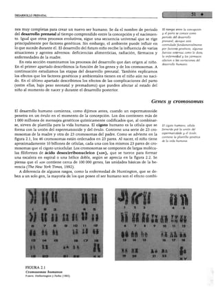 DESARROLLO PRENATAL
nes muy completas para crear un nuevo ser humano. Se da el nombre de periodo
del desarrollo prenatal al tiempo comprendido entre la concepción y el nacimien
to. Igual que otros procesos evolutivos, sigue una secuencia universal que se rige
principalmente por factores genéticos. Sin embargo, el ambiente puede influir en
lo que sucede durante él. El desarrollo del futuro niño recibe la influencia de varias
situaciones y agentes adversos: deficiencias alimenticias, radiación, fármacos y
enfermedades de la madre.
En esta sección examinamos los procesos del desarrollo que dan origen al niño.
En el primer apartado describimos la función de los genes y de los cromosomas. A
continuación estudiamos las etapas del desarrollo prenatal. También explicamos
los efectos que los factores genéticos y ambientales tienen en el niño aún no naci
do. En el último apartado describimos los efectos de las complicaciones del parto
(entre ellas, bajo peso neonatal y premadurez) que pueden afectar al estado del
niño al momento de nacer y durante el desarrollo posterior.
El tiempo entre la concepción
y el parto se conoce como
periodo del desarrollo
prenatal; aunque está
controlado fundamentalmente
por factores genéticos, algunas
fuerzas extemas como la dieta,
la enfermedad y los fármacos
afectan a las variaciones del
desarrollo humano.
Genes y cromosomas
El desarrollo humano comienza, como dijimos antes, cuando un espermatozoide
penetra en un óvulo en el momento de la concepción. Los dos contienen más de
1 000 millones de mensajes genéticos químicamente codificados que, al combinar
se, sirven de plantilla para la vida humana. El cigoto humano es la célula que se
forma con la unión del espermatozoide y del óvulo. Contiene una serie de 23 cro
mosomas de la madre y otra de 23 cromosomas del padre. Como se advierte en la
figura 2.1, los 46 cromosomas están ordenados en 23 pares. Al nacer, el niño tiene
aproximadamente 10 billones de células, cada una con los mismos 23 pares de cro
mosomas que el cigoto unicelular. Los cromosomas se componen de largas molécu
las filiformes de ácido desoxirribonucleico (adn), que se tuerce para formar
una escalera en espiral o una hélice doble, según se aprecia en la figura 2.2. Se
piensa que el adn contiene cerca de 100 000 genes, las unidades básicas de la he
rencia (The New York Times, 1992).
A diferencia de algunos rasgos, como la enfermedad de Huntington, que se de
ben a un solo gen, la mayoría de los que posee el ser humano son el efecto combi-
El cigoto humano, célula
formada por la unión del
espermatozoide y el óvulo,
contiene la plantilla genética
de la vida humana.
1 8 3
» |{ ||
B 7 8
II ii Ii
13 14 IB
IS
u
9
IC
IO
II
IB
I*
W II
11 IB
* w II
17 18
4 5
FIGURA 2.1
Cromosomas humanos
Fuente: Hetherington y Parke (1993).
 