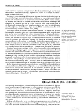 DESARROLLO DEL CEREBRO
cuello uterino se asocian al parto prematuro. En el tercer trimestre, la toxemxa (que
se caracteriza por retención de agua, hipertensión y orina en la sangre) puede oca
sionar un parto prematuro.
Se conocen mejor las causas del bajo peso neonatal. La más común y directa es la
desnutrición. Según las estadísticas más reveladoras, un porcentaje más alto de ni
ños con este problema nacen en los países subdesarrollados. En los Estados Unidos,
las tasas son más elevadas en las áreas socioeconómicas más bajas. Por ejemplo, en
el Distrito de Columbia son más de 14 por ciento en todos los grupos étnicos. A
nivel nacional, son más altas entre los afroamericanos que entre los individuos de
raza blanca (13 por ciento frente a 6 por ciento) debido a las diferencias del nivel
socioeconómico (Children's Defense Fund, 1996).
Otra causa común es una deficiente atención prenatal. Las madres que no reci
ben cuidados prenatales están tres veces más expuestas a dar a luz niños de bajo
peso que las que sí los reciben en el primer trimestre. Como en el caso de la alimen
tación adecuada, el acceso a la atención prenatal se relaciona con el nivel socioeco
nómico. Las madres con ingresos bajos tienden menos a recibirlo en los primeros
meses de embarazo que las de altos ingresos. Por desgracia, la situación parece ir
empeorando en vez de mejorar en los Estados Unidos. Los siguientes factores au
mentan el riesgo: abuso de sustancias (como fumar cigarros, ingerir alcohol y con
sumir drogas), la edad de la madre (menor de 17 años y mayor de 35), embarazos
múltiples, breve intervalo entre embarazos y el estado general de salud de la madre.
Gracias a la moderna tecnología médica sobreviven muchos niños nacidos antes
de término y con bajo peso, pero están expuestos a varias complicaciones. El peso
neonatal es el predictor más confiable de la supervivencia y de un desarrollo sano.
Un peso bajo supone mayor riesgo de infecciones, de parálisis cerebral, de defectos
visuales, de lesión cerebral, de enfermedades pulmonares y hepáticas. Cuando in
gresan a la escuela, estos niños tienden más que los niños de peso normal a mostrar
deficiencias del aprendizaje, problemas de atención, poca concentración, retrasos
en el desarrollo lingüístico y asma. Cerca de la mitad de los niños con bajo peso al
nacer son inscritos en programas de educación especial (Schino y Behrman, 1995).
En los Estados Unidos anualmente se invierten unos 15 000 millones de dólares
en la atención neonatal intensiva. Al parecer, se da prioridad a mantener vivos los
niños de bajo peso que a la prevención de este problema. Se estima que, por cada
[dólar que se destine a este renglón, podrían ahorrarse 3 dólares en la atención
posnatal intensiva que se presta a niños de bajo peso neonatal nacidos antes de
término (Huntington y Connell, 1994).
Los factores que aumentan el
riesgo de niños con bajo peso
neonatal son los siguientes:
falta de atención prenatal,
abuso de sustancias, edad de
la madre, embarazos
múltiples, breve intervalo entre
ellos y la salud general de la
madre.
El cerebro del ser humano es el más grande de los mamíferos terrestres en relación
con el tamaño corporal. Se piensa que es ocho veces más voluminoso que el de los
mamíferos comunes que viven hoy (Jerison, 1973). Los científicos saben que el
cerebro humano no madura totalmente antes de la adultez temprana. En su opi
nión, este periodo tan prolongado de desarrollo permite al hombre adquirir proce
sos y habilidades del pensamiento que no se encuentran en ninguna otra especie.
La porción más grande del cerebro, y la última en desarrollarse, es el lóbulo frontal
o corteza cerebral que se muestra en la figura 2.3 y que controla el pensamiento y la
conciencia.
El desarrollo del cerebro es un área fascinante y sumamente activa. Gracias a la
tecnología tan avanzada de que disponemos hoy para estudiar el cerebro, los cientí
ficos están realizando importantísimos descubrimientos (Begley, 1996). En esta sec-
La parte más grande del
cerebro, y la última en
desarrollarse, es la corteza
cerebral que controla el
pensamiento y la conciencia.
 