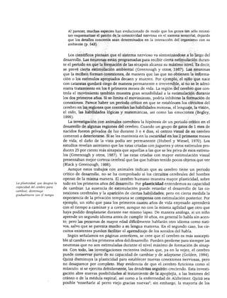 DESARROLLO FÍSICO
Al parecer, muchas especies han evolucionado de modo que los genes tan sólo necesi
tan esquematizar el patrón de la conectividad nerviosa en el sistema sensorial, dejando
que los detalles concretos sean determinados en la interacción del organismo con su
ambiente (p. 543).
La plasticidad, que designa la
capacidad del cerebro para
cambiar, disminuye
gradualmente con él tiempo.
Los científicos piensan que el sistema nervioso va sintonizándose a lo largo del
desarrollo. Las neuronas están programadas para recibir cierta estimulación duran
te el periodo en que la formación de las sinapsis alcanza su máximo nivel. Es decir,
se prevé cierta estimulación ambiental (Greenough y otros, 1987). Las neuronas
que la reciben forman conexiones, de manera que las que no obtienen la informa
ción o los estímulos apropiados decaen y mueren. Por ejemplo, el niño que nace
con cataratas quedará ciego de manera permanente e irreversible, si no se le admi
nistra tratamiento en los 6 primeros meses de vida. La región del cerebro que con
trola el movimiento también muestra gran sensibilidad a la estimulación durante
los dos primeros años. Si se limita el movimiento, podría inhibirse la formación de
conexiones. Parece haber un periodo crítico en que se establecen los circuitos del
cerebro en las regiones que controlan las habilidades motoras, el lenguaje, la visión,
el oído, las habilidades lógicas y matemáticas, así como las emociones (Begley,
1996).
La investigación con animales corrobora la hipótesis de un periodo crítico en el
desarrollo de algunas regiones del cerebro. Cuando un grupo de gatos de 1 mes de
nacidos fueron privados de luz durante 3 o 4 días, el centro visual de su cerebro
comenzó a deteriorarse. Si se les mantenía en la oscuridad en los 2 primeros meses
de vida, el daño de la vista podía ser permanente (Huberl y Wiesel, 1970). Los
estudios revelan asimismo que las ratas criadas con juguetes y otros estímulos pro
ducen 25 por ciento más sinapsis que aquellas a las que se les priva de esos estímu
los (Greenough y otros, 1987). Y las ratas criadas con mayor estimulación visual
presentaban mejor corteza cerebral que las que habían tenido pocos objetos que ver
(Black y Greenough, 1986).
Aunque estos trabajos con animales indican que su cerebro tiene un periodo
crítico de desarrollo, no se ha comprobado si los circuitos cerebrales del hombre
operan de la misma manera. El cerebro humano muestra mayor plasticidad, sobre
todo en los primeros años del desarrollo. Por plasticidad entendemos su capacidad
de cambiar. La ausencia de estimulación puede retardar el desarrollo de las co
nexiones cerebrales y la aparición de ciertas habilidades; pero en cierta medida la
experiencia de la privación temprana se compensa con estimulación posterior. Por
ejemplo, un niño que pasa los primeros cuatro años de vida enyesado aprenderá
con el tiempo a caminar y a correr, aunque no con la misma agilidad que otro que
haya podido desplazarse durante ese mismo lapso. De manera análoga, si un niño
aprende un segundo idioma antes de cumplir 10 años, en general lo habla sin acen
to; pero las personas de mayor edad difícilmente hablarán otro idioma como nati
vos, salvo que se parezca mucho a su lengua materna. En el segundo caso, los cir
cuitos existentes pueden facilitar el aprendizaje de los sonidos del habla.
Según señalamos en páginas anteriores, se cree que el cerebro es más suscepti
ble al cambio en los primeros años del desarrollo. Pueden perderse para siempre las
neuronas que no son estimuladas durante el nivel máximo de formación de sinap
sis. Con todo, las investigaciones recientes indican que, ya en la vejez, el cerebro
puede conservar parte de su capacidad de cambiar y de adaptarse (Golden, 1994).
Quizá disminuya la plasticidad para establecer nuevas conexiones nerviosas, pero
no desaparece por completo. Hay evidencia de que el cerebro funciona como el
músculo: si se ejercita debidamente, las dendritas seguirán creciendo. Esta investi
gación abre nuevas posibilidades al tratamiento de la apoplejía, a las lesiones del
cráneo o de la médula espinal, así como a la enfermedad de Alzheimer. Quizá sea
posible "enseñarle al perro viejo gracias nuevas"; sin embargo, la mayoría de los
 