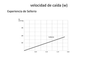 velocidad de caída (w)
Experiencia de Sellerio
 