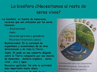 La biosfera ¿Necesitamos al resto de seres vivos? -La biosfera, es fuente de numerosos recursos que son utilizados por los seres humanos: -  Biodiversidad - Suelo - Recursos agrícolas y ganaderos - Recursos forestales y pesca Biodiversidad: Es la variedad de organismos y ecosistemas de un área determinada o de toda la Tierra. Suelo: El suelo es una cubierta delgada sobre la Tierra compuesta por una mezcla de minerales , materia orgánica , seres vivos , aire y agua.  Recursos agrícolas: Ha sido la actividad más importante hasta ahora. Recursos Pesqueros: El 20% de las proteínas que tomamos de origen animal provienen del pescado. 