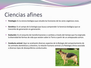 Ciencias afines
 Fisiología: Es la ciencia biológica que estudia las funciones de los seres orgánicos vivos.


 Genética: Es el campo de la biología que busca comprender la herencia biológica que se
  transmite de generación en generación.

 Evolución: Es el conjunto de transformaciones o cambios a través del tiempo que ha originado
  la diversidad de formas de vida que existen sobre la Tierra a partir de un antepasado común.

 Conducta animal: Aquí se analizarán diversos aspectos de la Biología del comportamiento de
  los animales domésticos y silvestres, la relación humano-animal y la Patología clínica asociada
  a diversos tipos de desequilibrios conductuales.
 