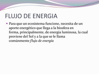 FLUJO DE ENERGIA
 Para que un ecosistema funcione, necesita de un
 aporte energético que llega a la biosfera en
 forma, principalmente, de energía luminosa, la cual
 proviene del Sol y a la que se le llama
 comúnmente flujo de energía
 