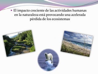  El impacto creciente de las actividades humanas
  en la naturaleza está provocando una acelerada
            pérdida de los ecosistemas
 