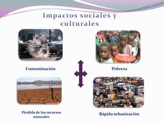 Contaminación                Pobreza




Pérdida de los recursos   Rápida urbanización
      naturales
 