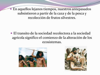  En aquellos lejanos tiempos, nuestros antepasados
    subsistieron a partir de la caza y de la pesca y
           recolección de frutos silvestres.



 El transito de la sociedad recolectora a la sociedad
 agrícola significo el comienzo de la alteración de los
                       ecosistemas.
 