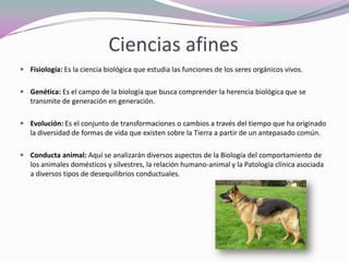 Ciencias afines
 Fisiología: Es la ciencia biológica que estudia las funciones de los seres orgánicos vivos.


 Genética: Es el campo de la biología que busca comprender la herencia biológica que se
  transmite de generación en generación.

 Evolución: Es el conjunto de transformaciones o cambios a través del tiempo que ha originado
  la diversidad de formas de vida que existen sobre la Tierra a partir de un antepasado común.

 Conducta animal: Aquí se analizarán diversos aspectos de la Biología del comportamiento de
  los animales domésticos y silvestres, la relación humano-animal y la Patología clínica asociada
  a diversos tipos de desequilibrios conductuales.
 