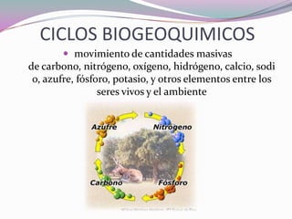 CICLOS BIOGEOQUIMICOS
        movimiento de cantidades masivas
de carbono, nitrógeno, oxígeno, hidrógeno, calcio, sodi
 o, azufre, fósforo, potasio, y otros elementos entre los
                 seres vivos y el ambiente
 