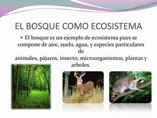 EL BOSQUE COMO ECOSISTEMA
   El bosque es un ejemplo de ecosistema pues se
 compone de aire, suelo, agua, y especies particulares
                           de
animales, pájaros, insecto, microorganismos, plantas y
                        arboles.
 