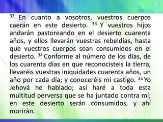 32 En cuanto a vosotros, vuestros cuerpos
caerán en este desierto. 33 Y vuestros hijos
andarán pastoreando en el desierto cuarenta
años, y ellos llevarán vuestras rebeldías, hasta
que vuestros cuerpos sean consumidos en el
desierto. 34 Conforme al número de los días, de
los cuarenta días en que reconocisteis la tierra,
llevaréis vuestras iniquidades cuarenta años, un
año por cada día; y conoceréis mi castigo. 35 Yo
Jehová he hablado; así haré a toda esta
multitud perversa que se ha juntado contra mí;
en este desierto serán consumidos, y ahí
morirán.
 