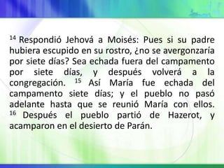 14 Respondió Jehová a Moisés: Pues si su padre
hubiera escupido en su rostro, ¿no se avergonzaría
por siete días? Sea echada fuera del campamento
por siete días, y después volverá a la
congregación. 15 Así María fue echada del
campamento siete días; y el pueblo no pasó
adelante hasta que se reunió María con ellos.
16 Después el pueblo partió de Hazerot, y
acamparon en el desierto de Parán.
 