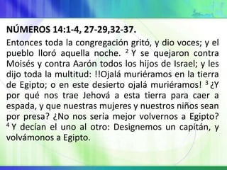 NÚMEROS 14:1-4, 27-29,32-37.
Entonces toda la congregación gritó, y dio voces; y el
pueblo lloró aquella noche. 2 Y se quejaron contra
Moisés y contra Aarón todos los hijos de Israel; y les
dijo toda la multitud: !!Ojalá muriéramos en la tierra
de Egipto; o en este desierto ojalá muriéramos! 3 ¿Y
por qué nos trae Jehová a esta tierra para caer a
espada, y que nuestras mujeres y nuestros niños sean
por presa? ¿No nos sería mejor volvernos a Egipto?
4 Y decían el uno al otro: Designemos un capitán, y
volvámonos a Egipto.
 