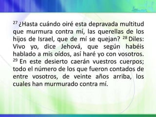 27 ¿Hasta cuándo oiré esta depravada multitud
que murmura contra mí, las querellas de los
hijos de Israel, que de mí se quejan? 28 Diles:
Vivo yo, dice Jehová, que según habéis
hablado a mis oídos, así haré yo con vosotros.
29 En este desierto caerán vuestros cuerpos;
todo el número de los que fueron contados de
entre vosotros, de veinte años arriba, los
cuales han murmurado contra mí.
 