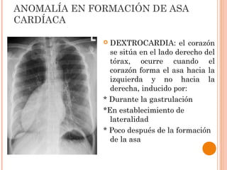 ANOMALÍA EN FORMACIÓN DE ASA
CARDÍACA
 DEXTROCARDIA: el corazón
se sitúa en el lado derecho del
tórax, ocurre cuando el
corazón forma el asa hacia la
izquierda y no hacia la
derecha, inducido por:
* Durante la gastrulación
*En establecimiento de
lateralidad
* Poco después de la formación
de la asa
 