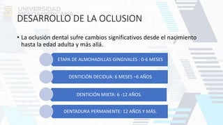 DESARROLLO DE LA OCLUSION
• La oclusión dental sufre cambios significativos desde el nacimiento
hasta la edad adulta y más allá.
ETAPA DE ALMOHADILLAS GINGIVALES : 0-6 MESES
DENTICIÓN DECIDUA: 6 MESES –6 AÑOS
DENTICIÓN MIXTA: 6 -12 AÑOS.
DENTADURA PERMANENTE: 12 AÑOS Y MÁS.
 