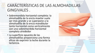 CARÁCTERÍSTICAS DE LAS ALMOHADILLAS
GINGIVALES .
• Sobremordida horizontal completa: la
almohadilla de la encía maxilar suele
ser más grande y se superpone a la
almohadilla de la encía mandibular
tanto horizontal como verticalmente
con una sobremordida horizontal
completa alrededor
• La superficie opuesta de las
almohadillas proporciona una forma
eficaz de exprimir la leche durante la
lactancia.
 