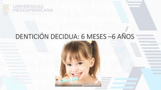 DENTICIÓN DECIDUA: 6 MESES –6 AÑOS
 