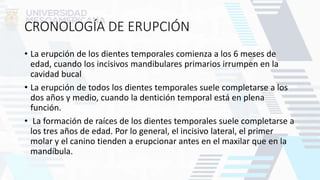CRONOLOGÍA DE ERUPCIÓN
• La erupción de los dientes temporales comienza a los 6 meses de
edad, cuando los incisivos mandibulares primarios irrumpen en la
cavidad bucal
• La erupción de todos los dientes temporales suele completarse a los
dos años y medio, cuando la dentición temporal está en plena
función.
• La formación de raíces de los dientes temporales suele completarse a
los tres años de edad. Por lo general, el incisivo lateral, el primer
molar y el canino tienden a erupcionar antes en el maxilar que en la
mandíbula.
 