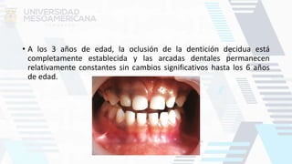 • A los 3 años de edad, la oclusión de la dentición decidua está
completamente establecida y las arcadas dentales permanecen
relativamente constantes sin cambios significativos hasta los 6 años
de edad.
 