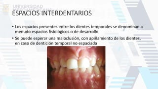 ESPACIOS INTERDENTARIOS
• Los espacios presentes entre los dientes temporales se denominan a
menudo espacios fisiológicos o de desarrollo
• Se puede esperar una maloclusión, con apiñamiento de los dientes,
en caso de dentición temporal no espaciada
 