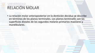 RELACIÓN MOLAR
• La relación molar anteroposterior en la dentición decidua se describe
en términos de los planos terminales. Los planos terminales son las
superficies distales de los segundos molares primarios maxilares y
mandibulares.
 