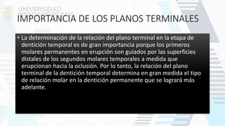 IMPORTANCIA DE LOS PLANOS TERMINALES
• La determinación de la relación del plano terminal en la etapa de
dentición temporal es de gran importancia porque los primeros
molares permanentes en erupción son guiados por las superficies
distales de los segundos molares temporales a medida que
erupcionan hacia la oclusión. Por lo tanto, la relación del plano
terminal de la dentición temporal determina en gran medida el tipo
de relación molar en la dentición permanente que se logrará más
adelante.
 