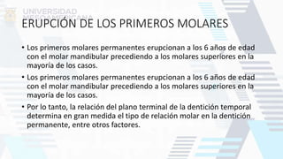 ERUPCIÓN DE LOS PRIMEROS MOLARES
• Los primeros molares permanentes erupcionan a los 6 años de edad
con el molar mandibular precediendo a los molares superiores en la
mayoría de los casos.
• Los primeros molares permanentes erupcionan a los 6 años de edad
con el molar mandibular precediendo a los molares superiores en la
mayoría de los casos.
• Por lo tanto, la relación del plano terminal de la dentición temporal
determina en gran medida el tipo de relación molar en la dentición
permanente, entre otros factores.
 