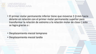 • El primer molar permanente inferior tiene que moverse 2-3 mm hacia
delante en relación con el primer molar permanente superior para
transformar la relación de extremo a la relación molar de clase I; esto
se logra gracias a :
• Desplazamiento mesial temprano
• Desplazamiento mesial tardío
 