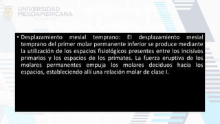 • Desplazamiento mesial temprano: El desplazamiento mesial
temprano del primer molar permanente inferior se produce mediante
la utilización de los espacios fisiológicos presentes entre los incisivos
primarios y los espacios de los primates. La fuerza eruptiva de los
molares permanentes empuja los molares deciduos hacia los
espacios, estableciendo allí una relación molar de clase I.
 