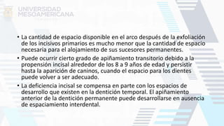 • La cantidad de espacio disponible en el arco después de la exfoliación
de los incisivos primarios es mucho menor que la cantidad de espacio
necesaria para el alojamiento de sus sucesores permanentes.
• Puede ocurrir cierto grado de apiñamiento transitorio debido a la
propensión incisal alrededor de los 8 a 9 años de edad y persistir
hasta la aparición de caninos, cuando el espacio para los dientes
puede volver a ser adecuado.
• La deficiencia incisal se compensa en parte con los espacios de
desarrollo que existen en la dentición temporal. El apiñamiento
anterior de la dentición permanente puede desarrollarse en ausencia
de espaciamiento interdental.
 