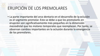ERUPCIÓN DE LOS PREMOLARES
• La parte importante del arco dentario en el desarrollo de la oclusión
es el segmento premolar. Esto se debe a que los premolares en
erupción son significativamente más pequeños en la dimensión
mesiodistal que los molares temporales que reemplazan. Por tanto, se
observan cambios importantes en la oclusión durante la emergencia
de los premolares.
 